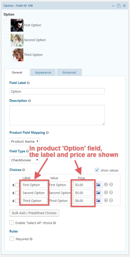 Product Options Field Gravity Forms Styles Pro product-options-field-gravity-forms-styles-pro